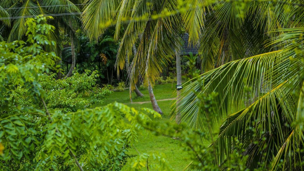 Silver Crown Nature Resort Kombichankulama Exterior photo